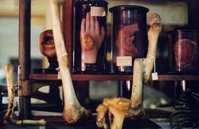 Самые странные музеи мира