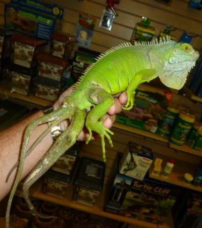 Самые странные музеи мира