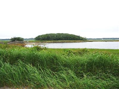 Топ-10 самых доступных островов мира по цене "однушки" в Москве