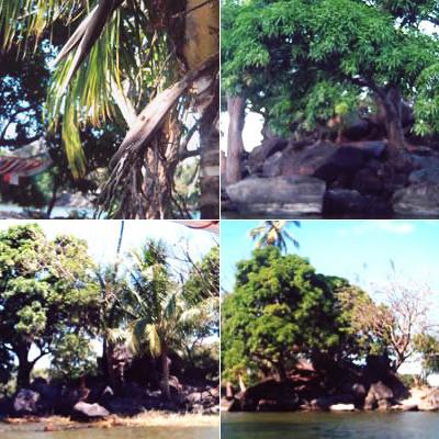 Топ-10 самых доступных островов мира по цене "однушки" в Москве