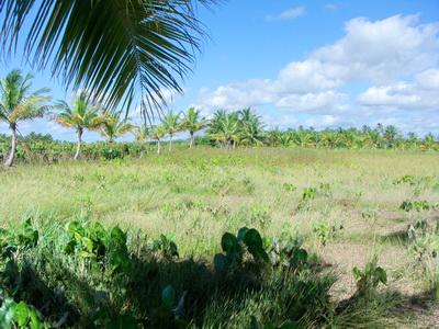Топ-10 самых доступных островов мира по цене "однушки" в Москве