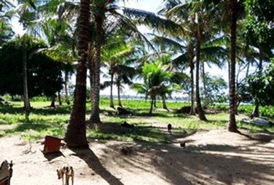 Топ-10 самых доступных островов мира по цене "однушки" в Москве