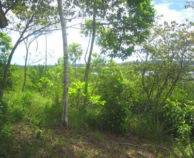 Топ-10 самых доступных островов мира по цене "однушки" в Москве