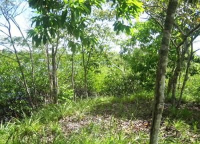 Топ-10 самых доступных островов мира по цене "однушки" в Москве