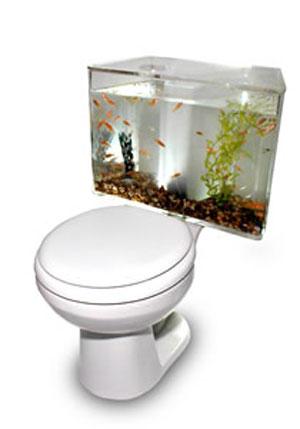 Бывший мэр готовится к новоселью в унитазе