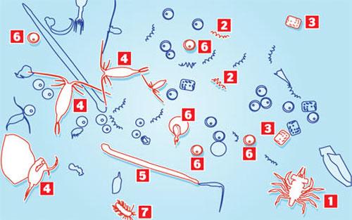 Загадки блуждающего микромира