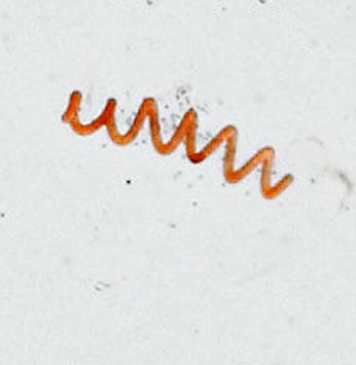 Загадки блуждающего микромира