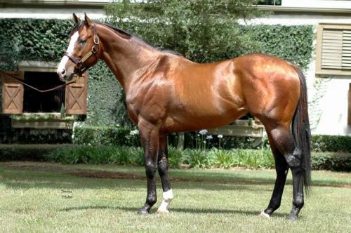 Самые дорогостоящие животные на планете