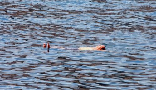 Джека Николсона снова застали с нимфами