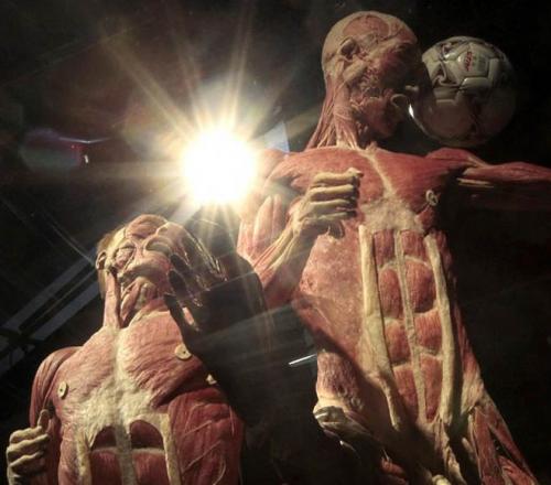 "Доктор Смерть" со своими экспонатами прописался в Риме