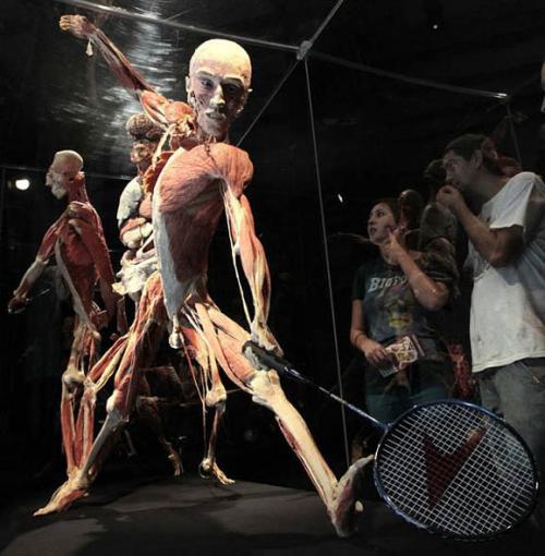 "Доктор Смерть" со своими экспонатами прописался в Риме