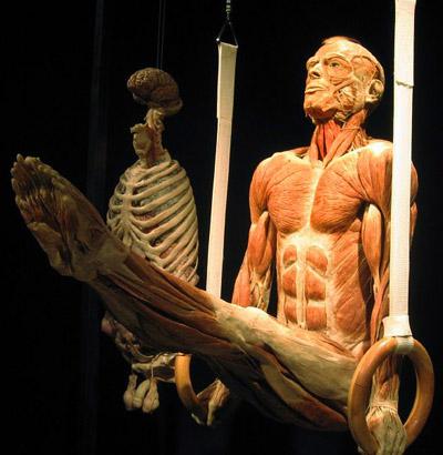 "Доктор Смерть" со своими экспонатами прописался в Риме