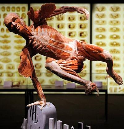 "Доктор Смерть" со своими экспонатами прописался в Риме