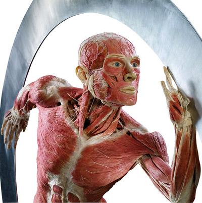 "Доктор Смерть" со своими экспонатами прописался в Риме