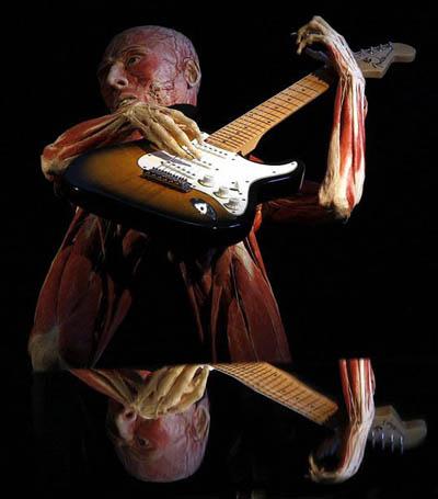 "Доктор Смерть" со своими экспонатами прописался в Риме