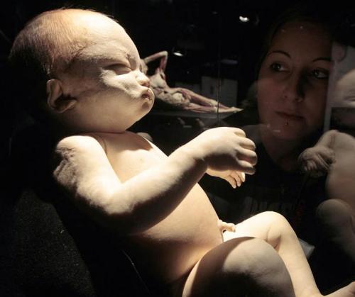 "Доктор Смерть" со своими экспонатами прописался в Риме