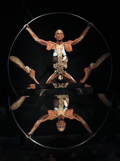 "Доктор Смерть" со своими экспонатами прописался в Риме