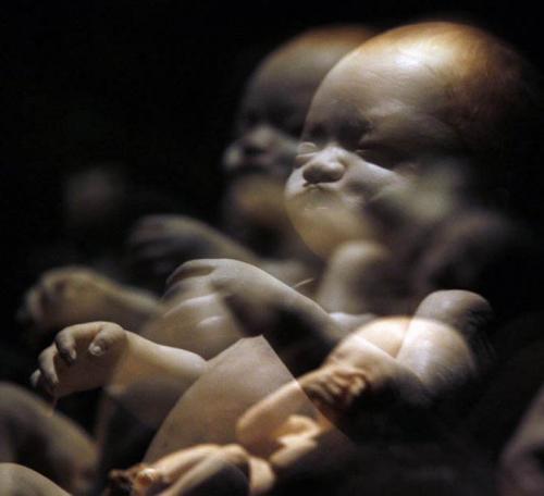 "Доктор Смерть" со своими экспонатами прописался в Риме