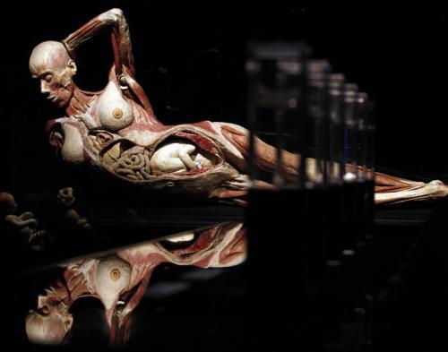 "Доктор Смерть" со своими экспонатами прописался в Риме