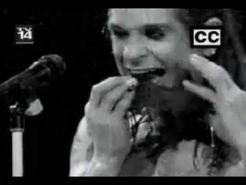 Самые безумные выходки знаменитостей