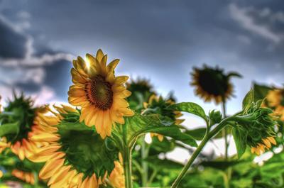 Лучше один раз увидеть: фантастические снимки HDR. Часть 3