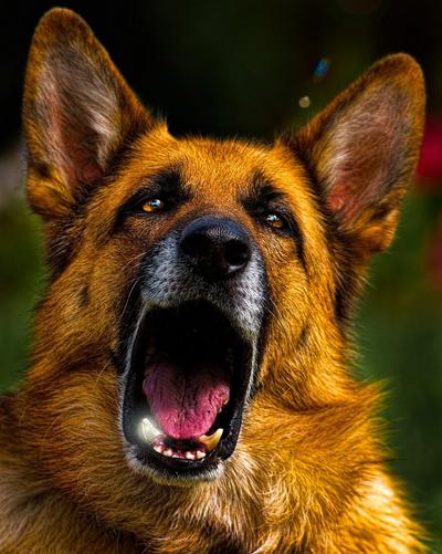 Лучше один раз увидеть: фантастические снимки HDR. Часть 3