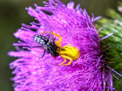 Лучше один раз увидеть: фантастические снимки HDR. Часть 3
