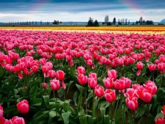 Лучше один раз увидеть: фантастические снимки HDR. Часть 3