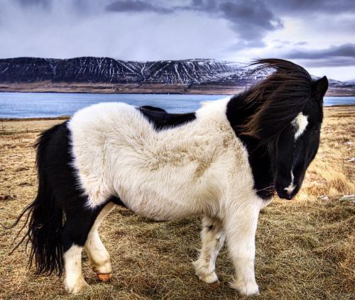 Лучше один раз увидеть: фантастические снимки HDR. Часть 3