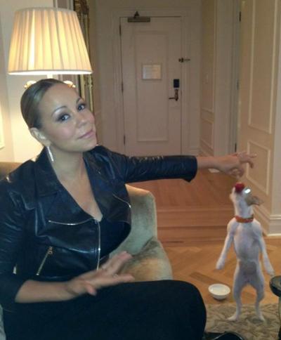 Последние фотографии звезд из Твиттеров