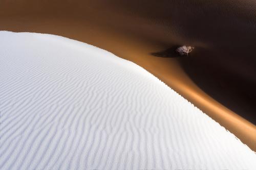 Лучший пейзажный фотограф 2019