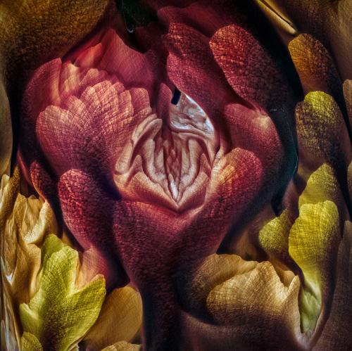 Лучший пейзажный фотограф 2019