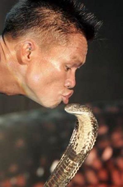Заклинатель змей поцеловал 19 кобр