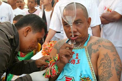 Семь кругов ада вегетарианского фестиваля