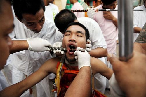 Семь кругов ада вегетарианского фестиваля