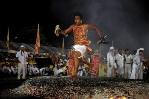 Семь кругов ада вегетарианского фестиваля