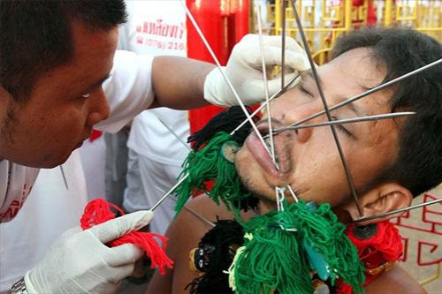 Семь кругов ада вегетарианского фестиваля