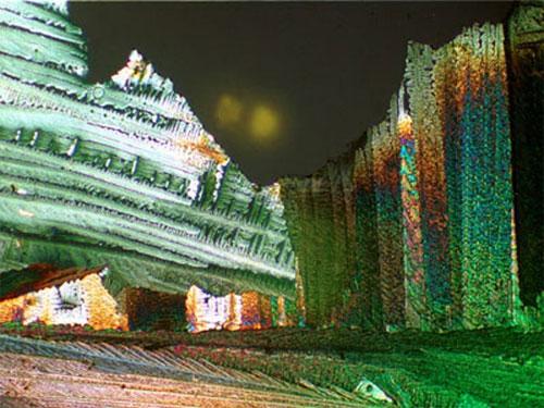 Шедевры микрофотографии