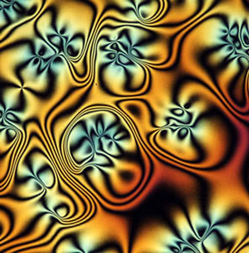 Шедевры микрофотографии