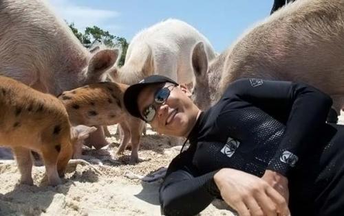 Дайвинг со свиньями на Багамах