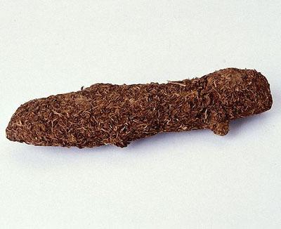 Шпионская техника прошлого