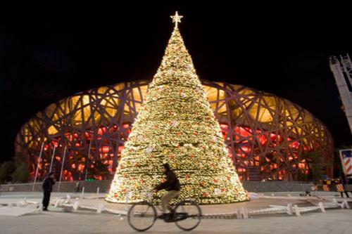 Рождественская феерия : лучшие фотографии со всего мира