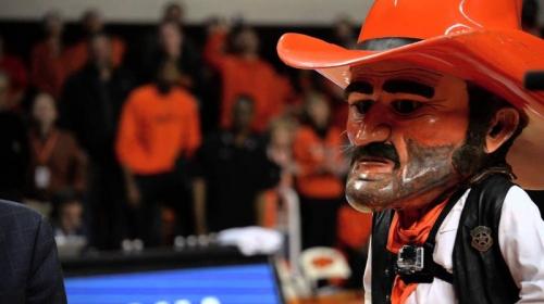 15 самых идиотских талисманов спортивных команд