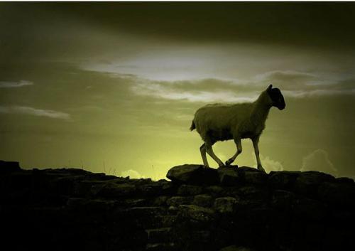 Призеры премии RSPCA 2010 среди юных фотографов