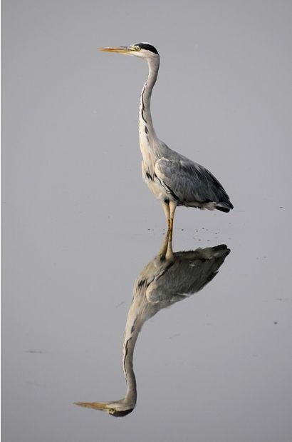 Призеры премии RSPCA 2010 среди юных фотографов