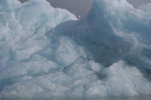 Призеры премии RSPCA 2010 среди юных фотографов