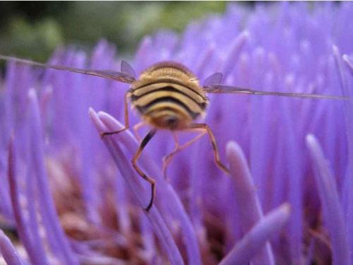 Призеры премии RSPCA 2010 среди юных фотографов