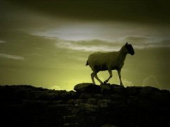 Призеры премии RSPCA 2010 среди юных фотографов