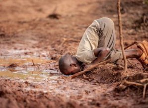 Популярные в 2019 году фото об экологических проблемах мира