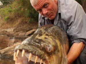 Британский рыбак поймал пиранью-охотницу на крокодилов